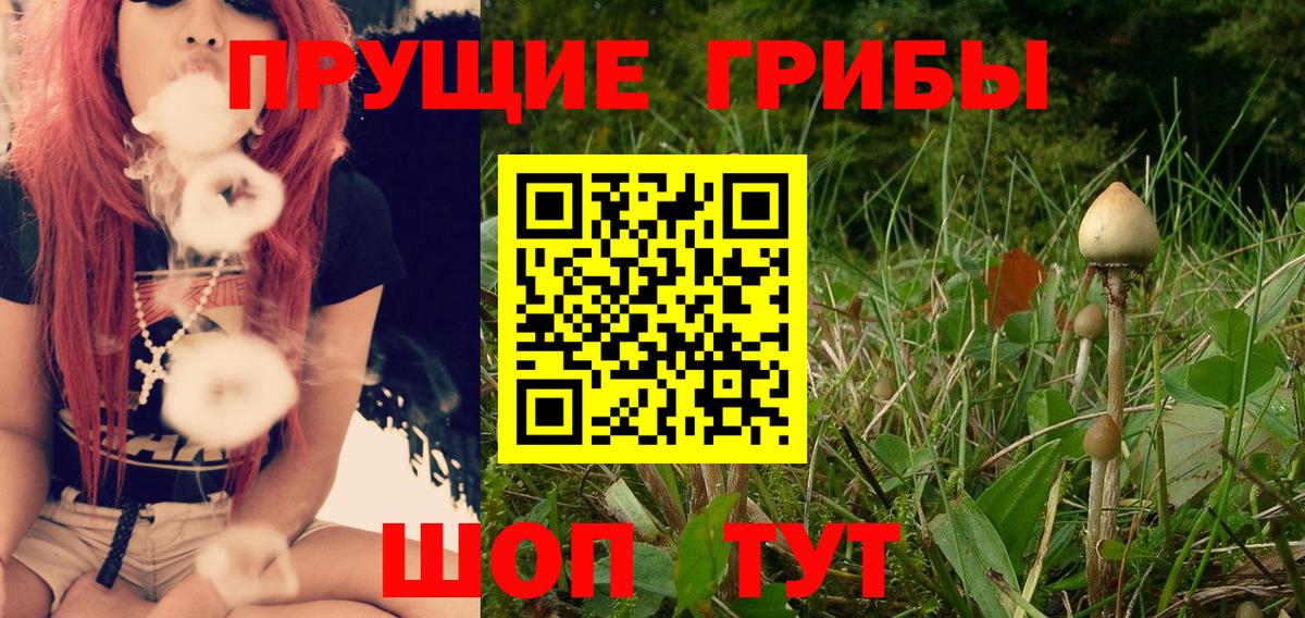 Псилоцибиновые грибы MAGIC MUSHROOMS Нижний Тагил